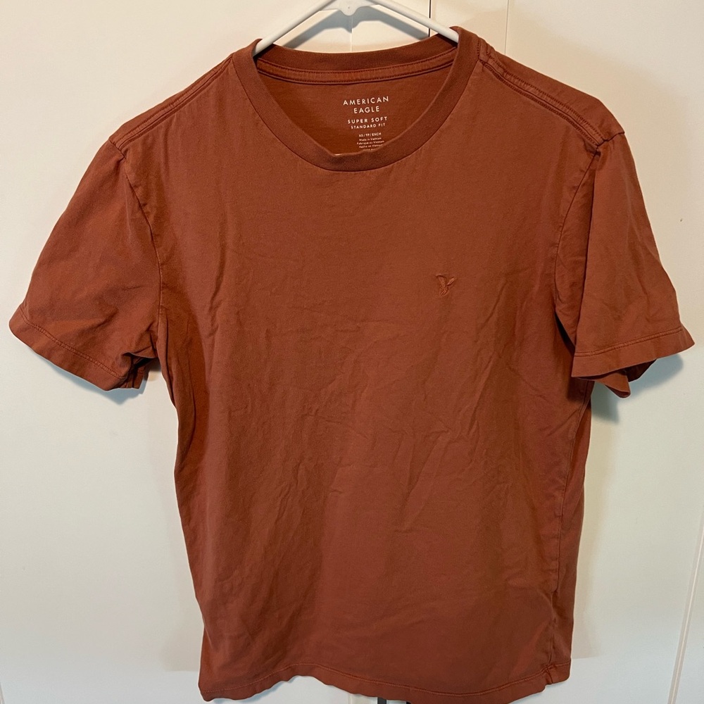 American Eagle Outfitters Men's Rust Tee. Size XS